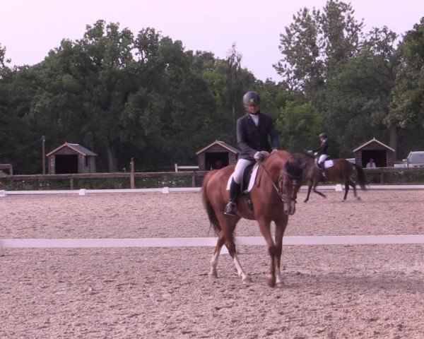 Reitturnier Müncheberg 2024