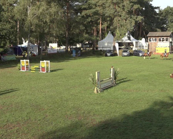Reitturnier Dannenberg 2024