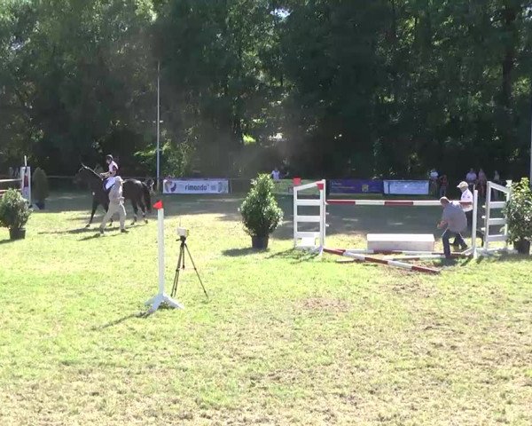 Reitturnier Weinsberg 2013