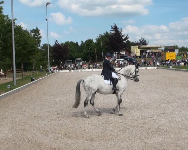 Fröndenberg 2013