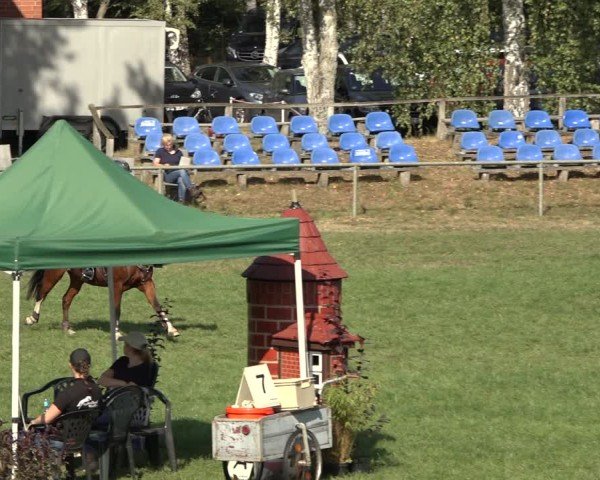 Reitturnier Dannenberg 2024