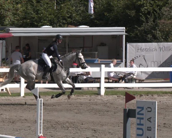 Reitturnier Springturnier Mildstedt 2024