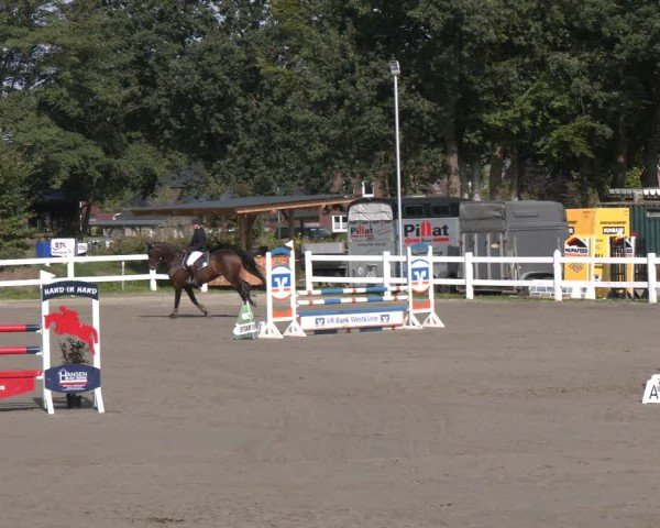 Reitturnier Springturnier Mildstedt 2024
