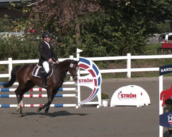 Reitturnier Springturnier Mildstedt 2024