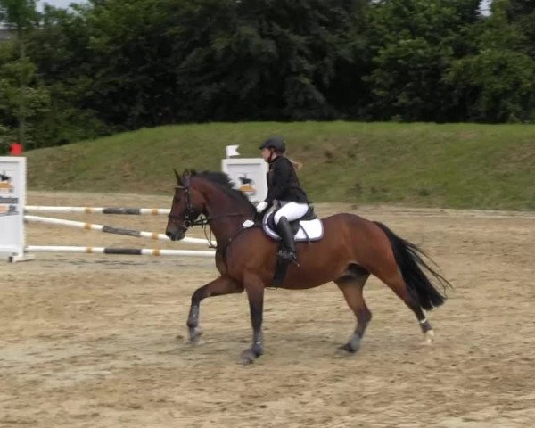 Fröndenberg 2013