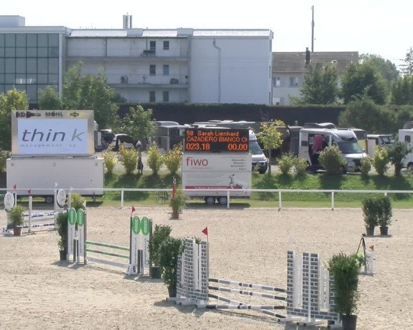 Reitturnier Bülach 2024