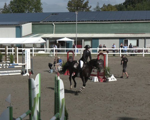 Reitturnier Springturnier Mildstedt 2024