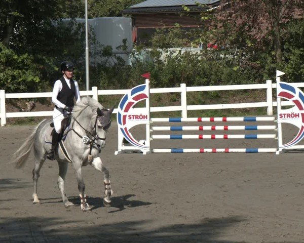 Reitturnier Springturnier Mildstedt 2024