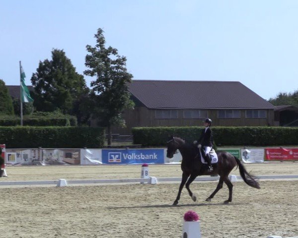 Reitturnier Ennigerloh-Neubeckum 2024