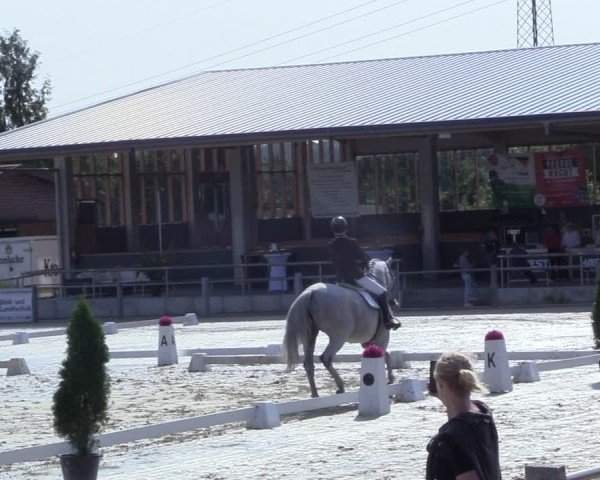 Reitturnier Ennigerloh-Neubeckum 2024