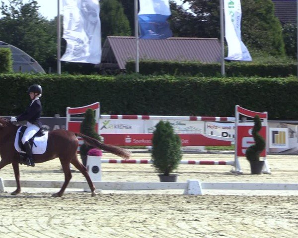 Reitturnier Ennigerloh-Neubeckum 2024