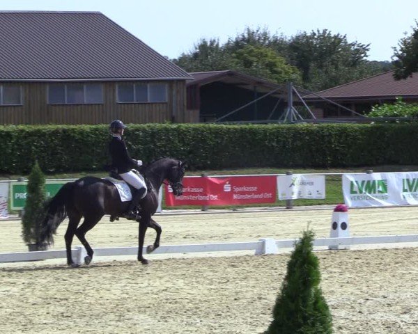 Reitturnier Ennigerloh-Neubeckum 2024