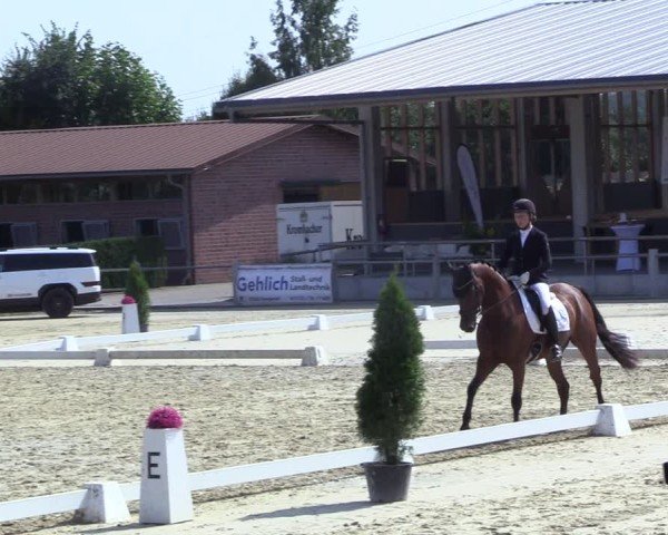 Reitturnier Ennigerloh-Neubeckum 2024