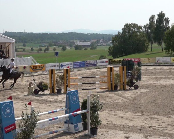 Reitturnier Humlikon 2024