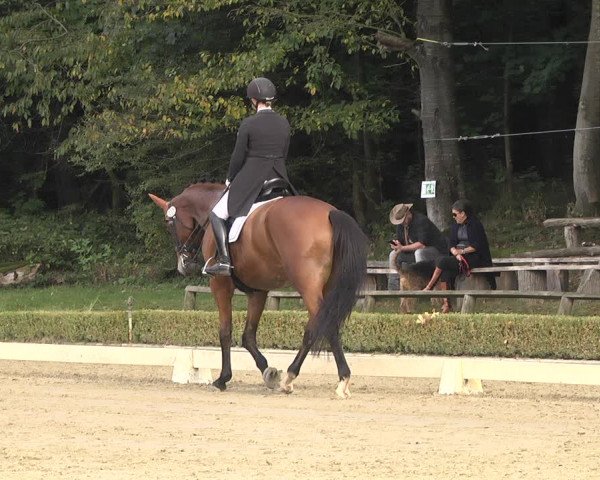 Reitturnier Neu-Anspach / Wintermühle 2021