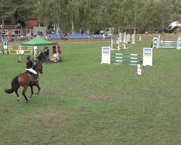 Reitturnier Dannenberg 2024