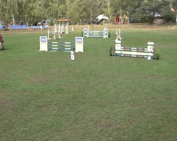 Reitturnier Dannenberg 2024