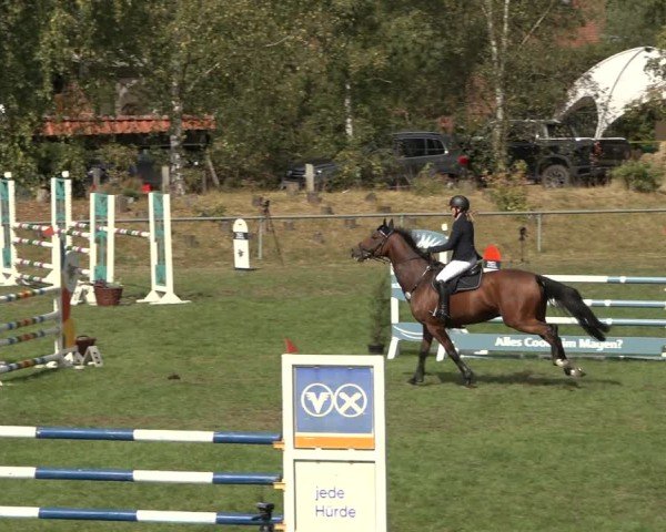 Reitturnier Dannenberg 2024