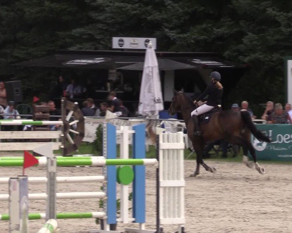 Reitturnier Pietzpuhl 2024