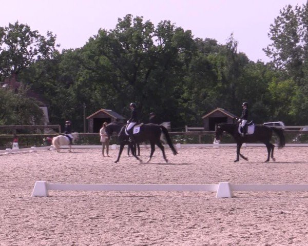 Reitturnier Müncheberg 2024