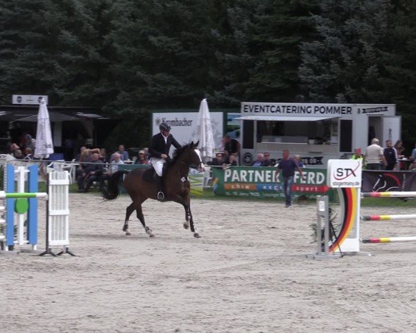 Reitturnier Pietzpuhl 2024