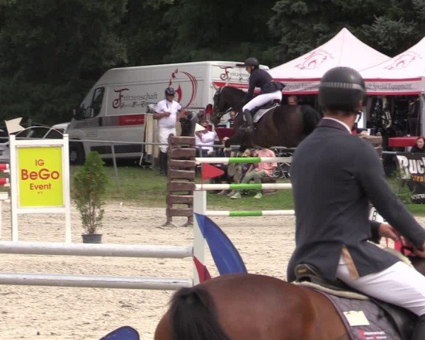 Reitturnier Pietzpuhl 2024