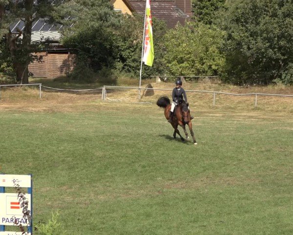 Reitturnier Dannenberg 2024