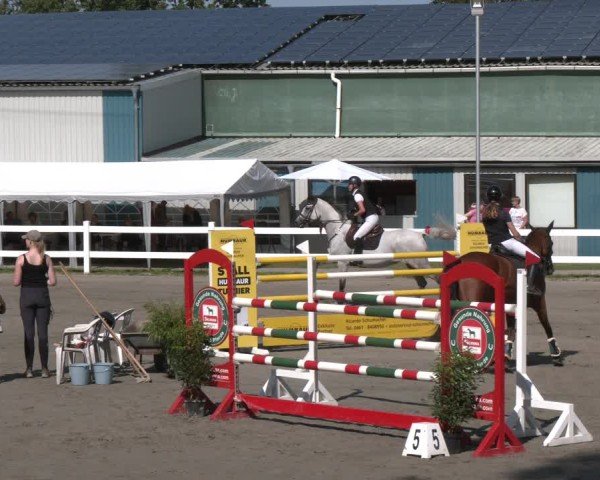 Reitturnier Springturnier Mildstedt 2024
