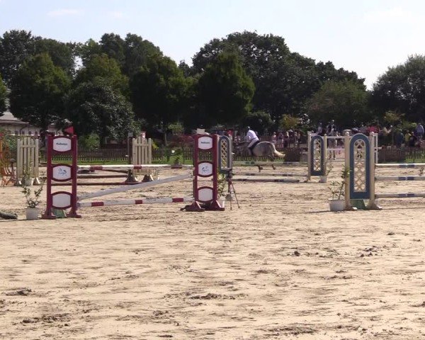 Reitturnier Breiholz "Am Moltkestein" 2024