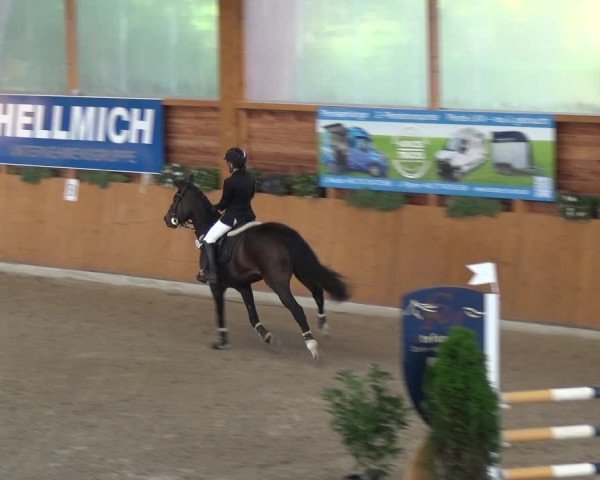 Springturnier Xanten - Reitanlage Miss 2021