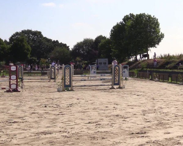 Reitturnier Breiholz "Am Moltkestein" 2024