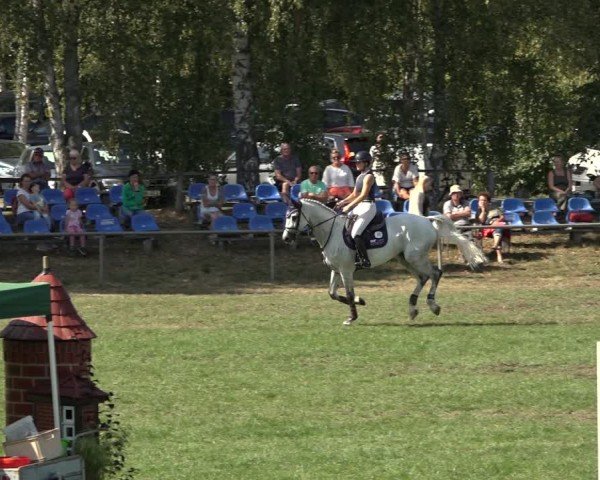 Reitturnier Dannenberg 2024