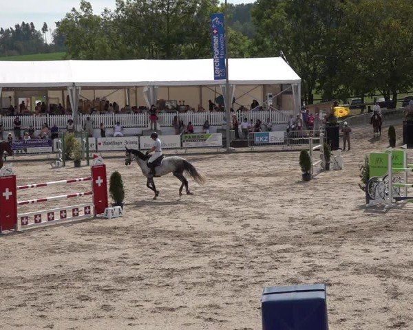 Reitturnier Humlikon 2024