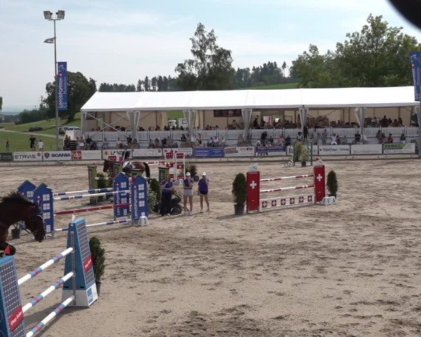 Reitturnier Humlikon 2024