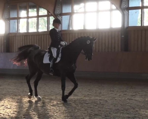 Fröndenberg 2013