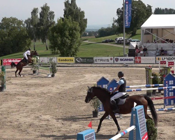 Reitturnier Humlikon 2024