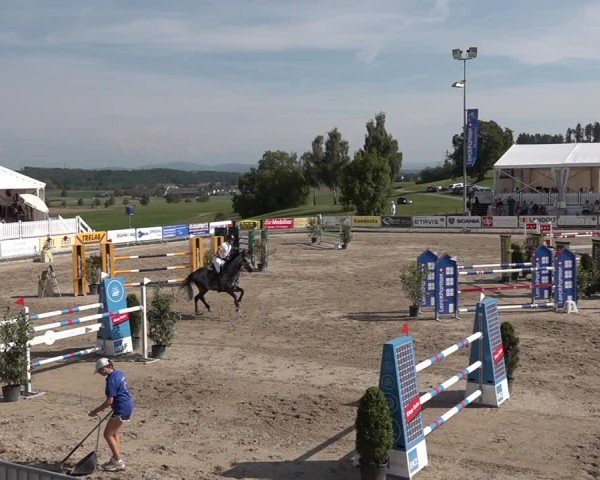 Reitturnier Humlikon 2024