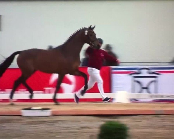 Video von Viete
