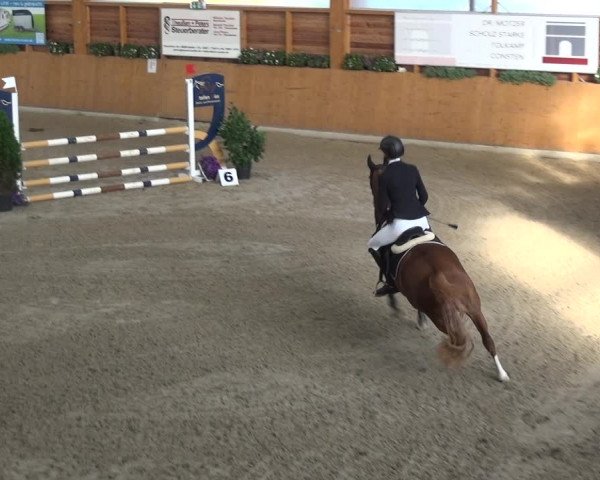 Springturnier Xanten - Reitanlage Miss 2021