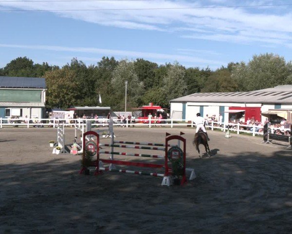 Reitturnier Springturnier Mildstedt 2024
