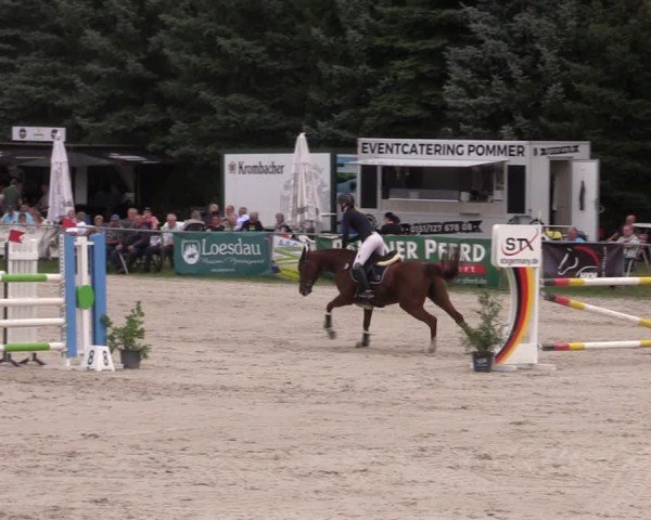 Reitturnier Pietzpuhl 2024