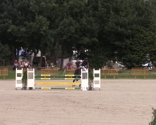 Reitturnier Pietzpuhl 2024