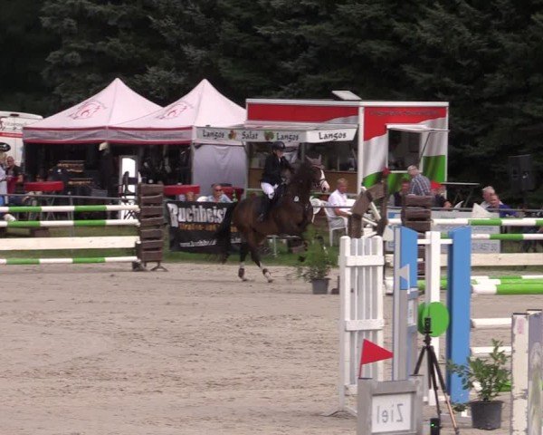 Reitturnier Pietzpuhl 2024