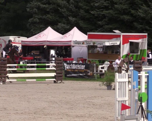 Reitturnier Pietzpuhl 2024