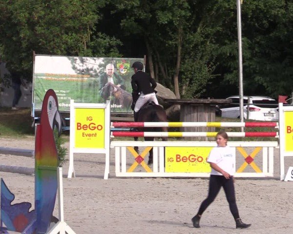 Reitturnier Pietzpuhl 2024