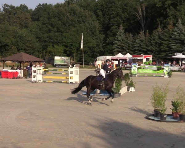 Reitturnier Pietzpuhl 2024