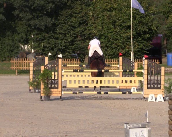 Reitturnier Pietzpuhl 2024