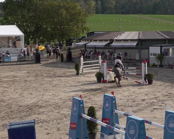 Reitturnier Humlikon 2024