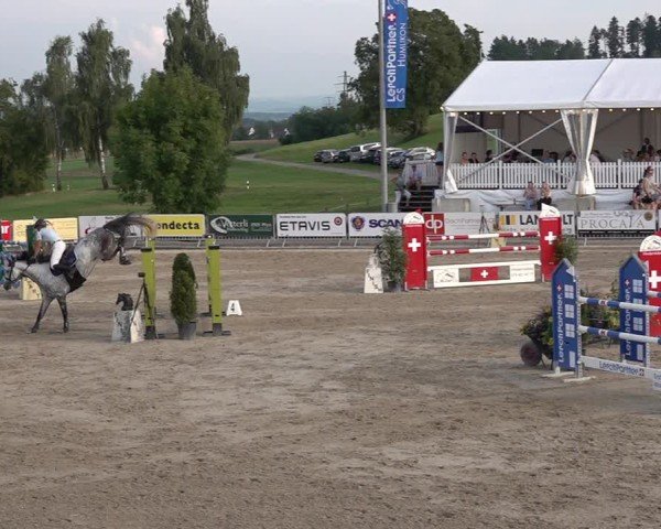 Reitturnier Humlikon 2024