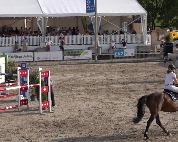 Reitturnier Humlikon 2024